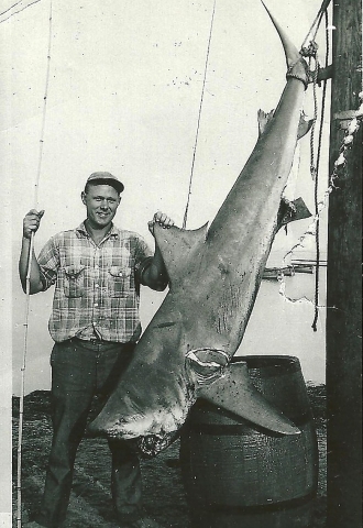 Ralph caught this shark in Barnaget Bay in 1954.